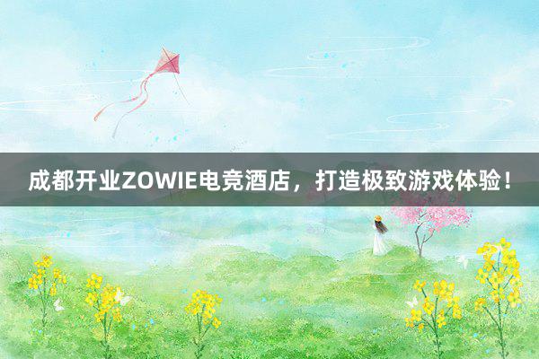 成都开业ZOWIE电竞酒店，打造极致游戏体验！